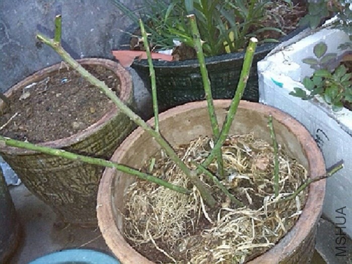 QQͼƬ20140305185854.jpg
