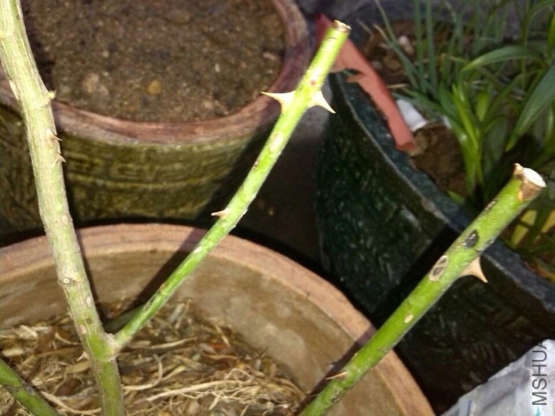 QQͼƬ20140305185817.jpg