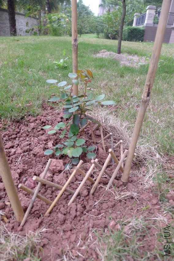 P1010276.jpg