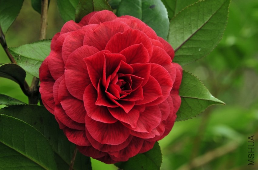 _DSC5061_edited-1.jpg
