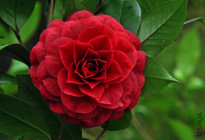 _DSC5059_edited-1.jpg