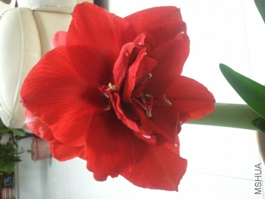 2014-03-06 19.04.47.jpg