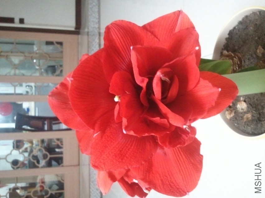 2014-03-06 19.05.08.jpg