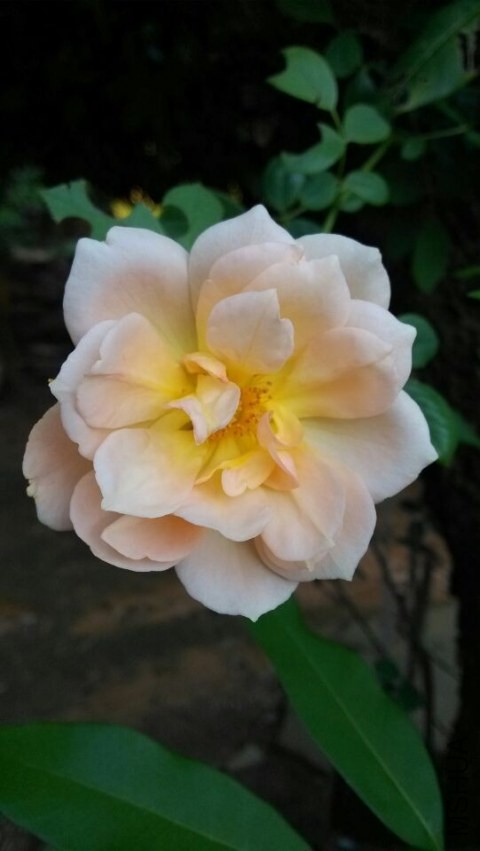 QQͼƬ20140306202401.jpg