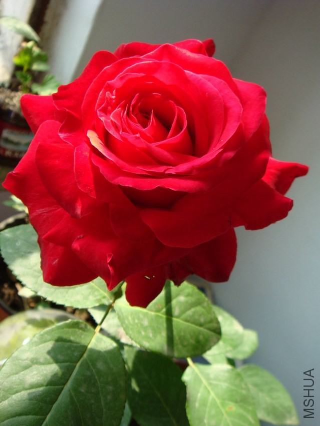 DSC00152.JPG