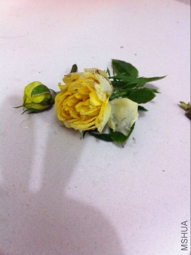 QQͼƬ20140306214906.jpg