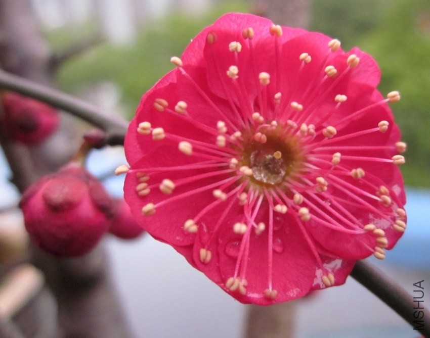 QQͼƬ20140226150728.jpg