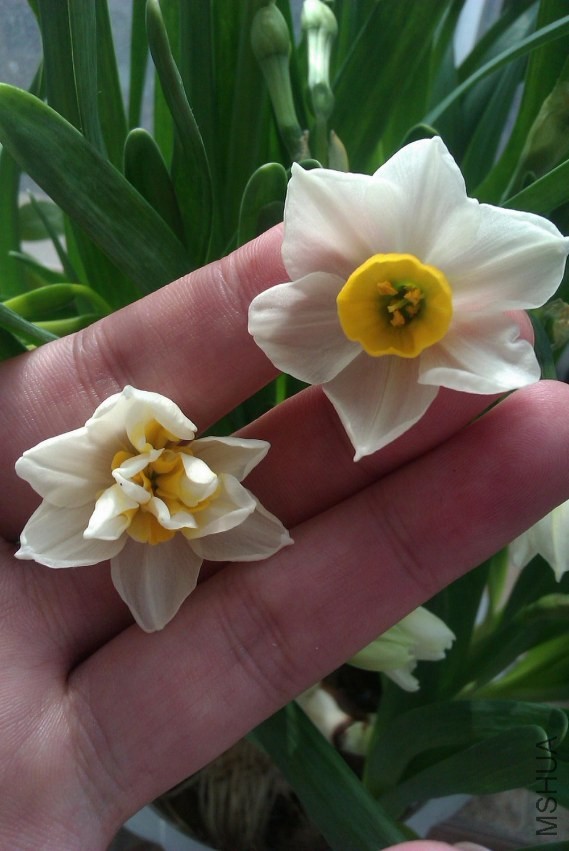 IMAG0322.jpg