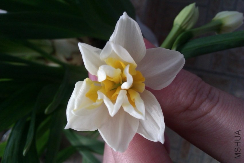 IMAG0323.jpg