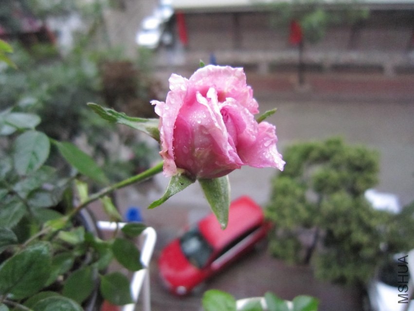 ��Ƭ 041.jpg