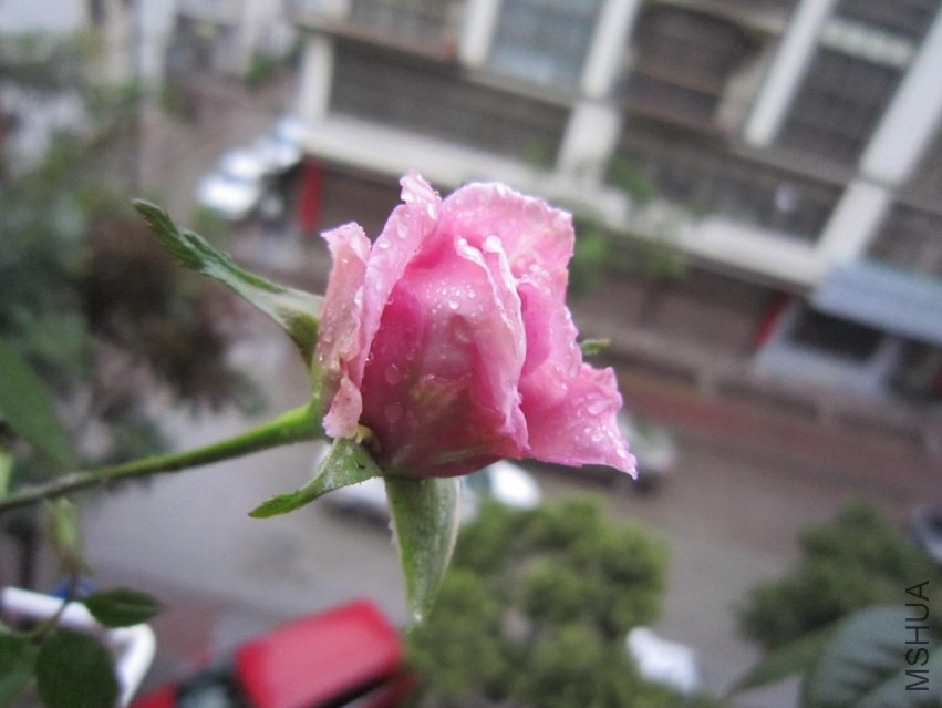 ��Ƭ 042.jpg