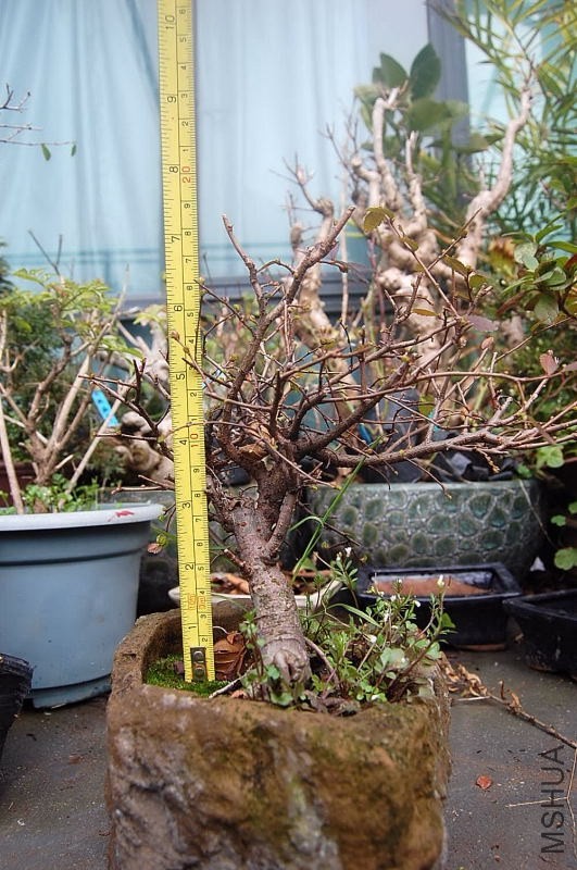 DSC_00010001.JPG