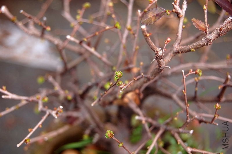 DSC_00040004.JPG