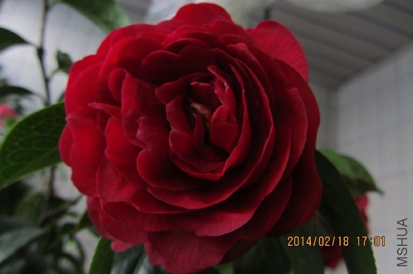 IMG_0408.JPG