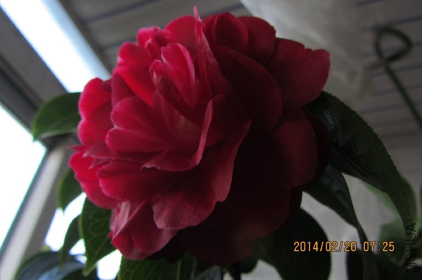 IMG_0457.JPG
