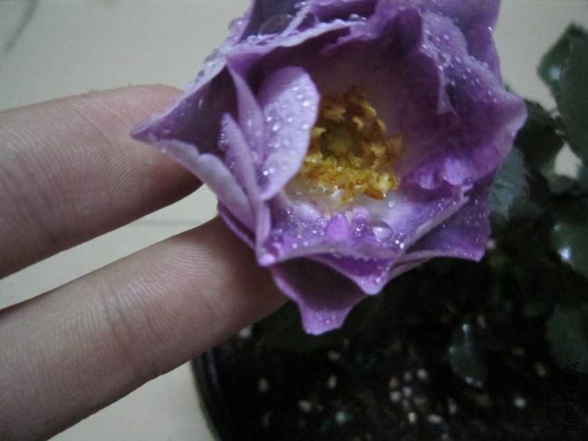 QQͼƬ20140307222749.jpg