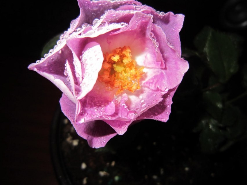 QQͼƬ20140307222736.jpg