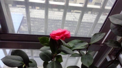 IMG20140308072047.jpg