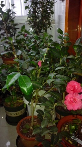 IMG20140308072234.jpg
