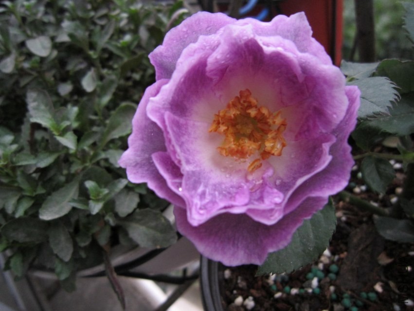 QQͼƬ20140308101241.jpg