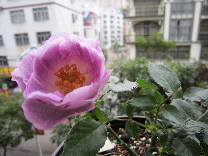 QQͼƬ20140308101124.jpg