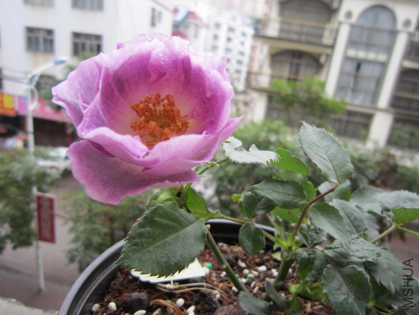 QQͼƬ20140308101120.jpg