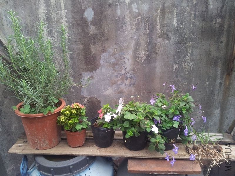 20140307_163005.jpg