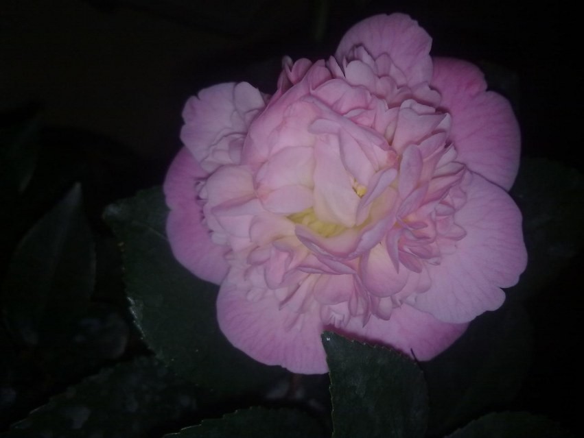 20140306430.jpg