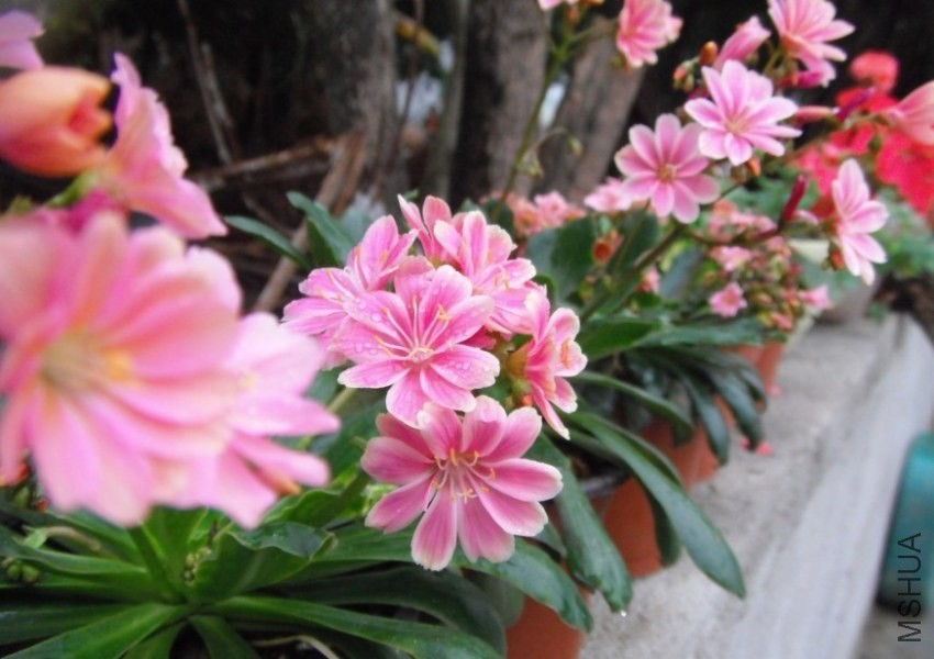 QQͼƬ20140308123338.jpg