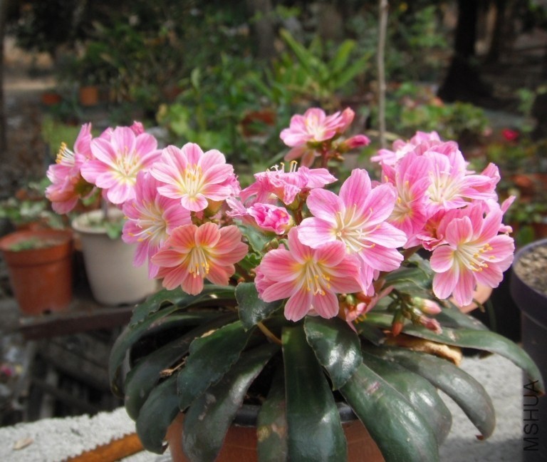 QQͼƬ20140308133916.jpg