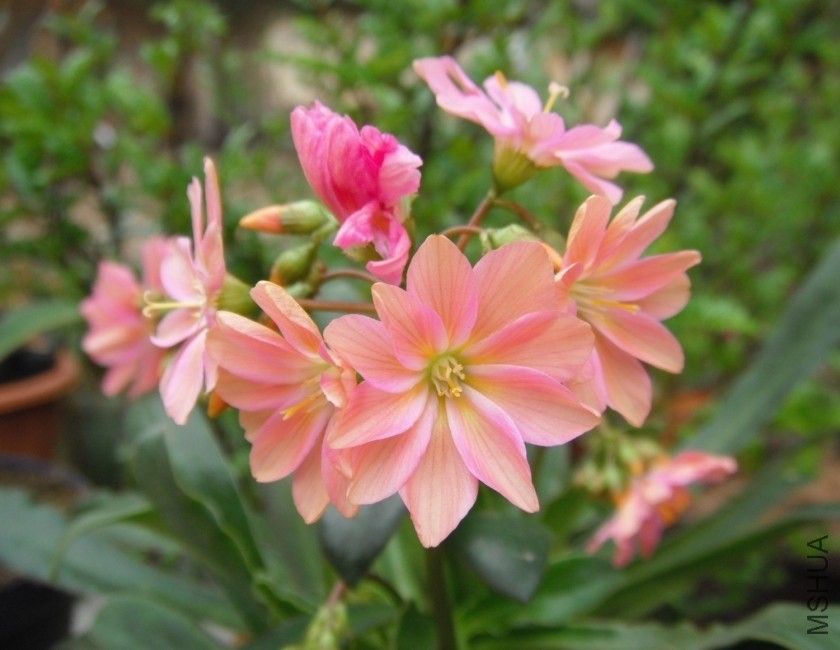QQͼƬ20140308133959.jpg