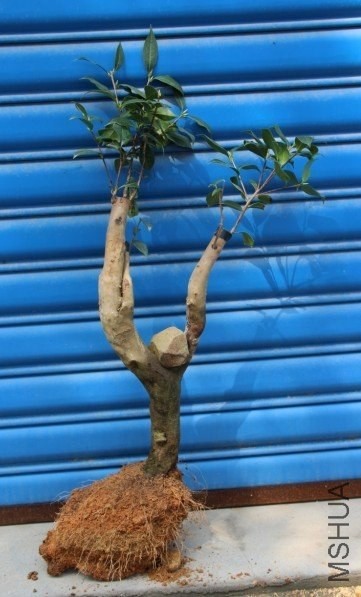 �ظ�-2-3.jpg