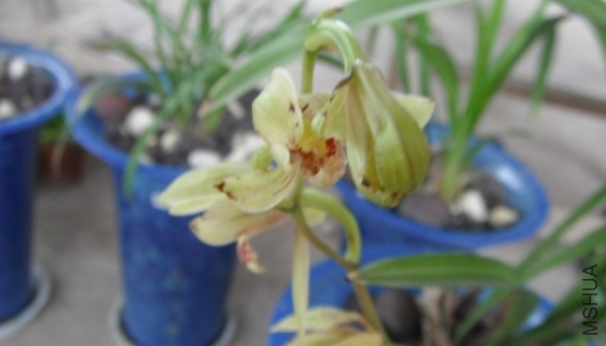 QQͼƬ20140309095950.jpg