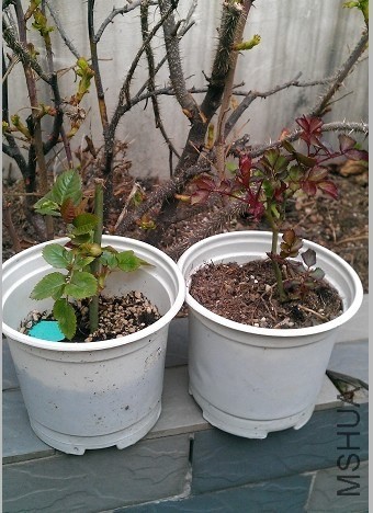 QQͼƬ20140309151733.jpg