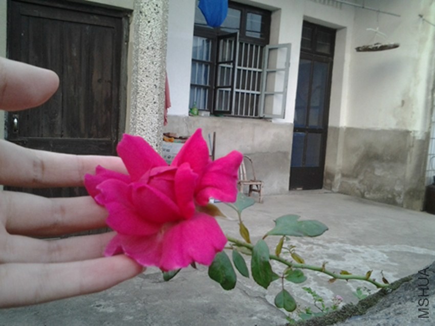 2013-10-21 18.05.23_����.jpg