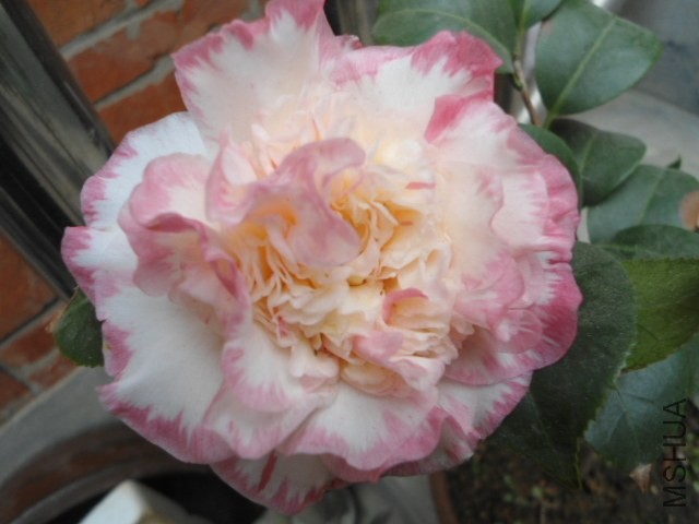 DSC00801.JPG