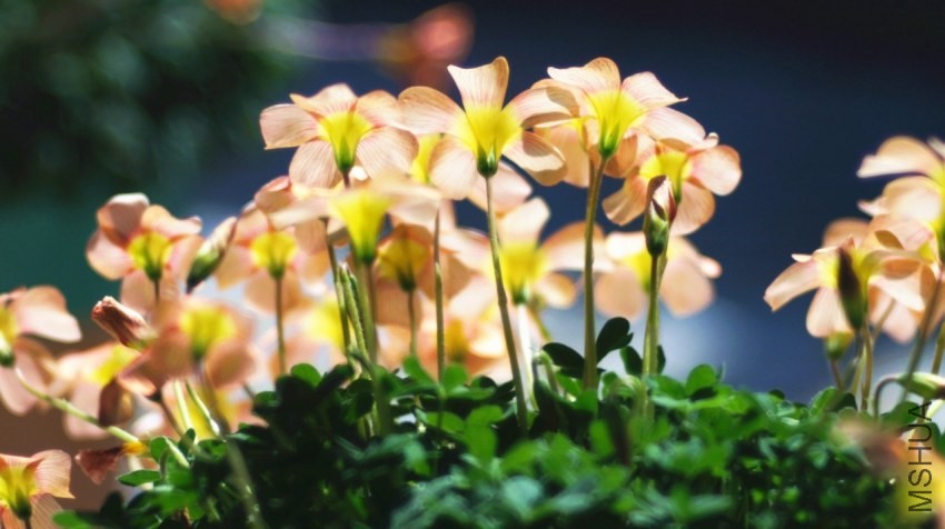 QQ��ͼ20140310110715.jpg
