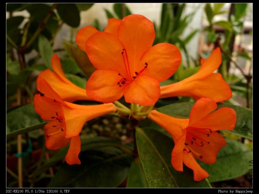 2013-09-16 �����ž�.jpg