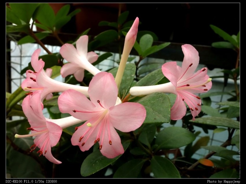 2013-10-30 �����ž�.jpg