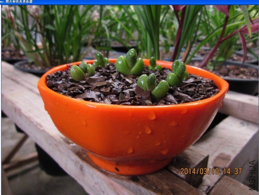 QQͼƬ20140310144621.jpg