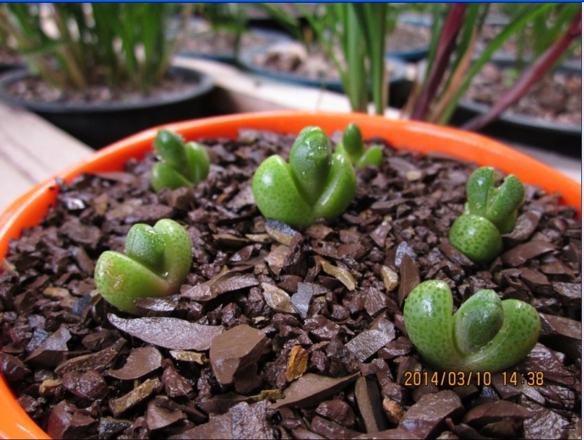 QQͼƬ20140310144628.jpg
