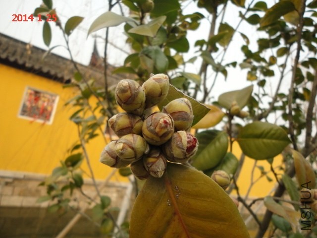 DSC04578.JPG