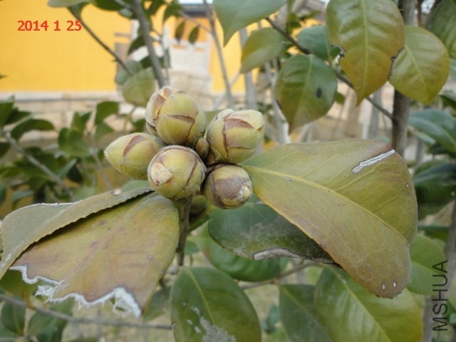 DSC04580.JPG