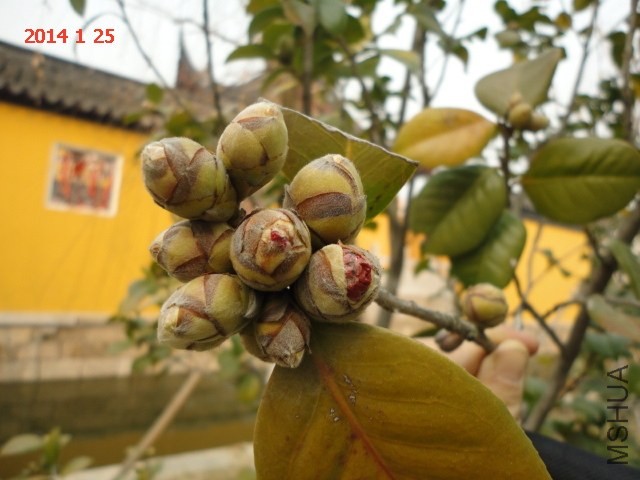 DSC04579.JPG