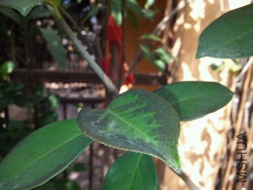 IMG20140311112006.jpg