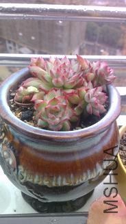 ¶�������Ժ����Ա仯��