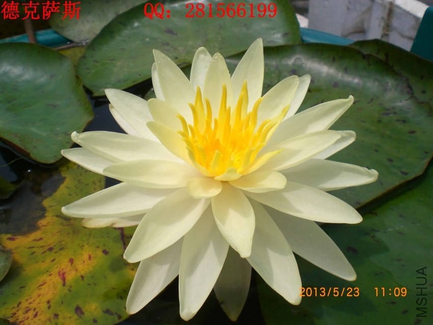 CIMG5742.JPG