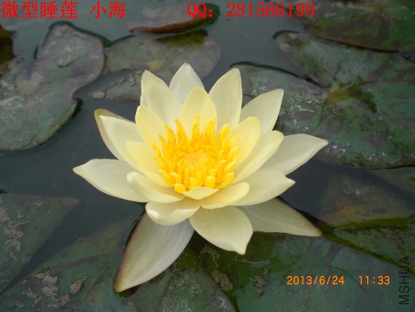 CIMG5814.JPG