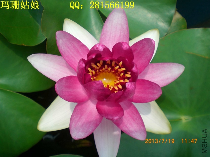CIMG5871.JPG
