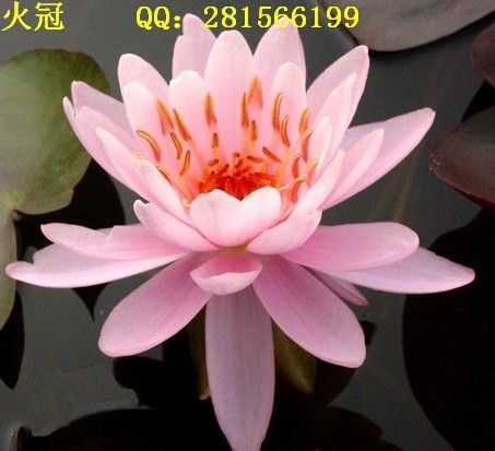 QQͼƬ20140310202347.jpg